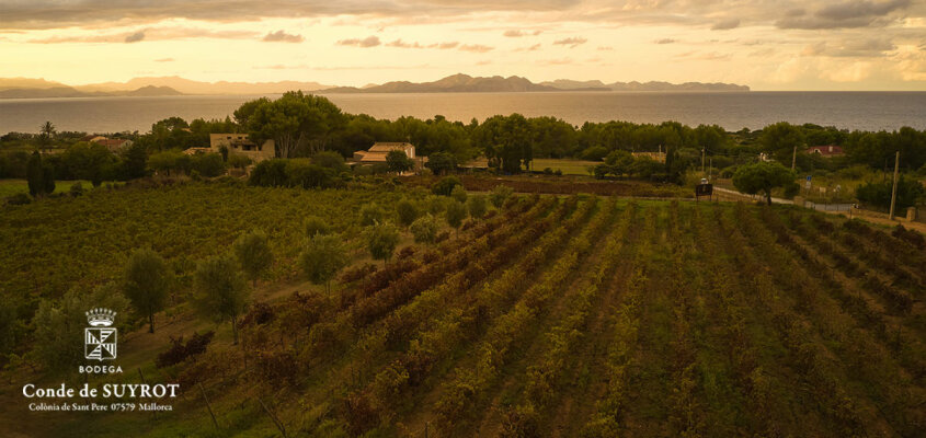  Bodega Conde de Suyrot 

  Franz&ouml;sisches...