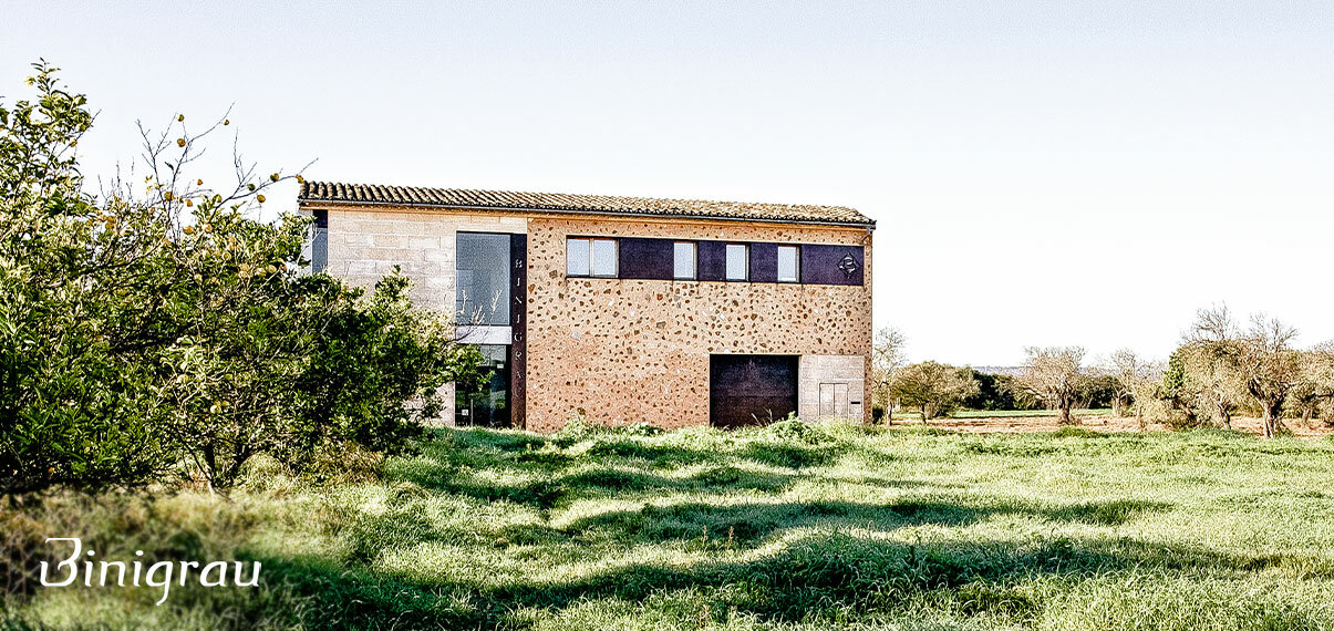 Die Bodega auf dem Weingut Binigrau