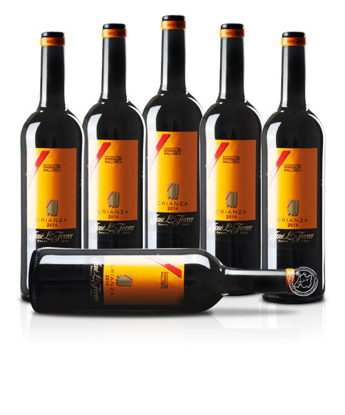 6er Set José L. Ferrer Crianza 2019